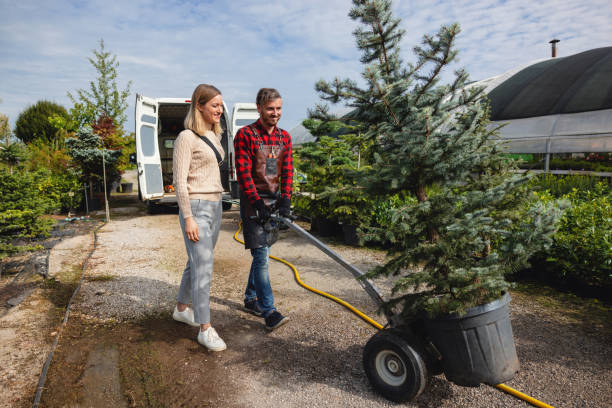 Best Tree Removal  in Carmel, IN